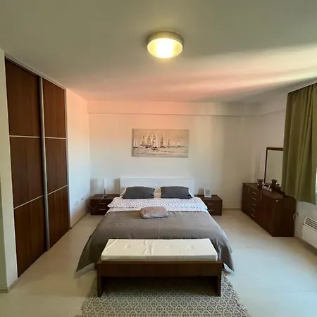 公寓 Berger Studio 利夫诺